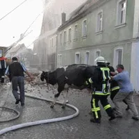 img12.gif