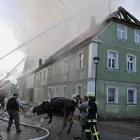 img07.gif