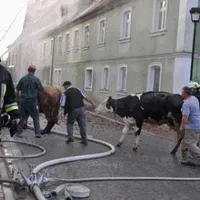 img04.gif