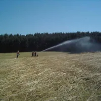 2006bfeldrw05.jpg